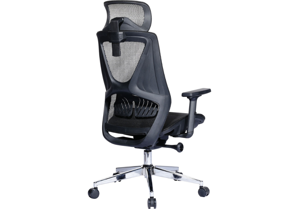 Ghế nhập khẩu công thái học GLE06